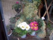 「鳥居花店」　（愛知県名古屋市中川区）の花屋店舗写真2
